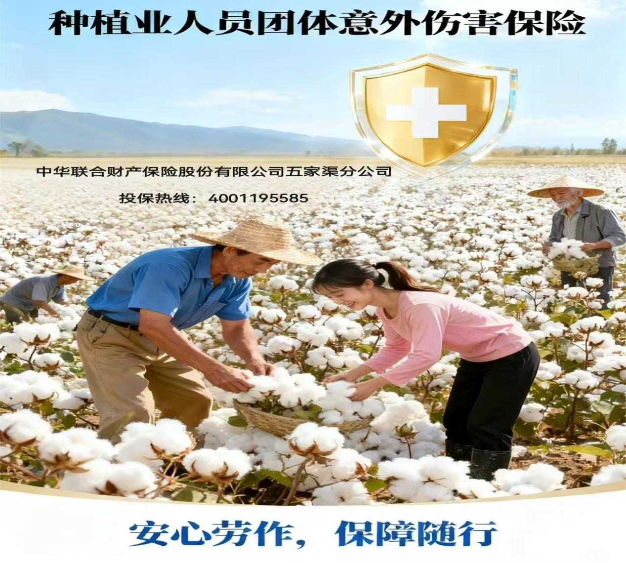 ���ջ����ͼƬ