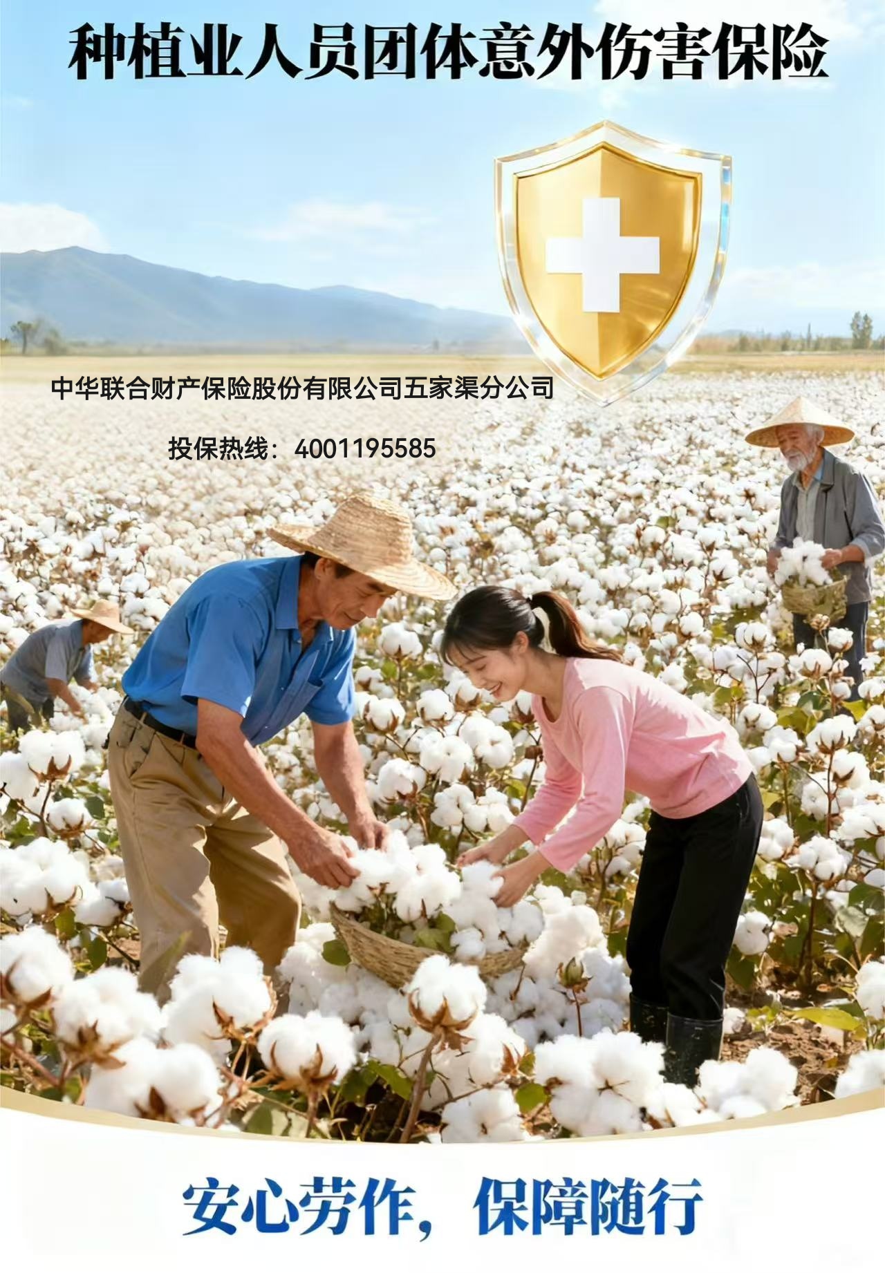 ���ջ����ͼƬ